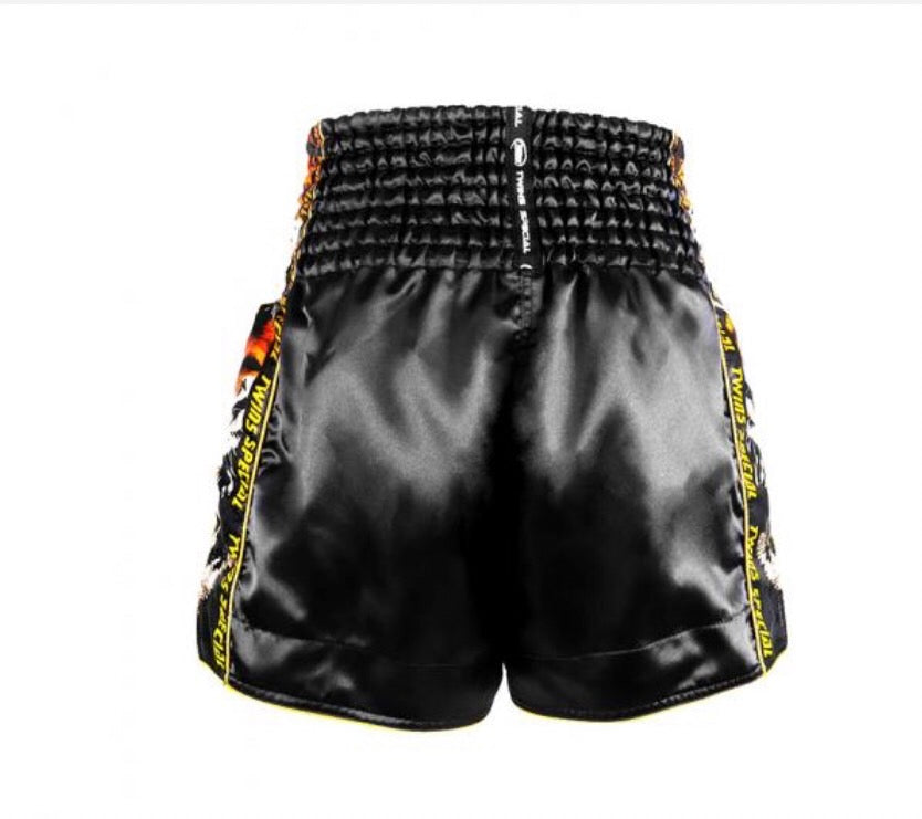 Twins Special Muay Thai Shorts TBS-New Payak