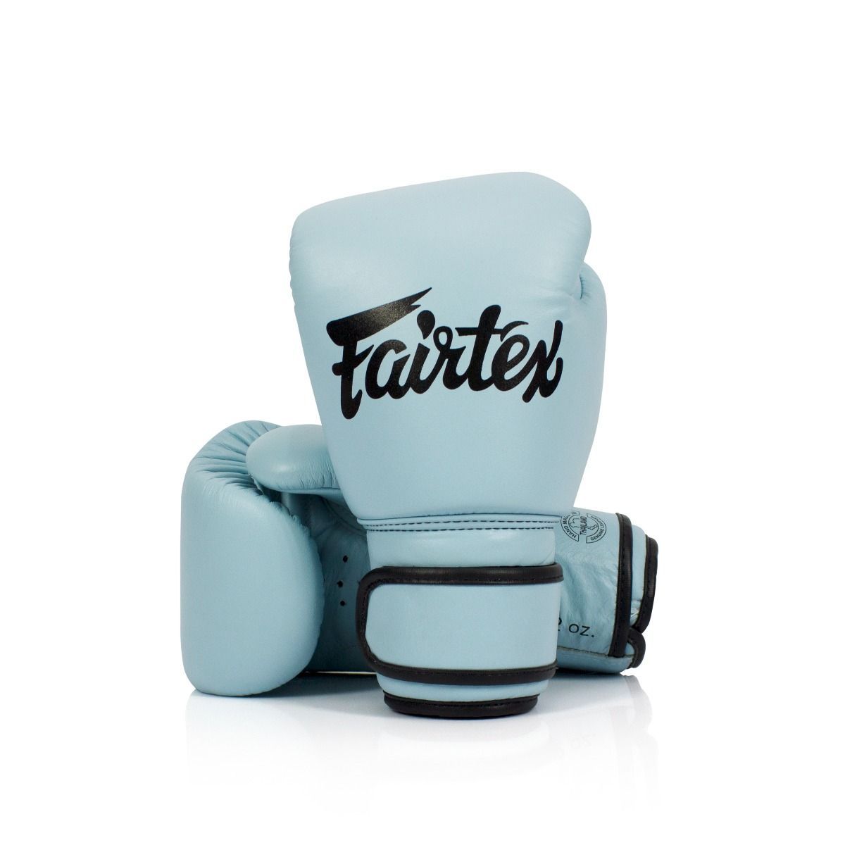 Fairtex Boxing Gloves BGV20 Light Blue