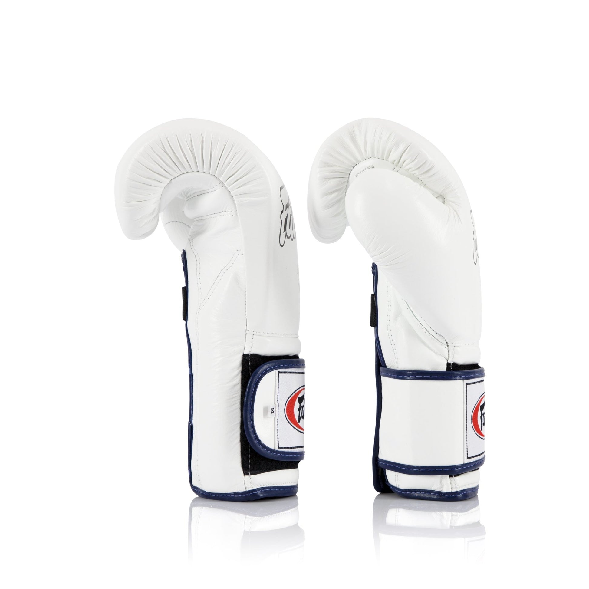 Fairtex Boxing Gloves BGV9 White Fairtex